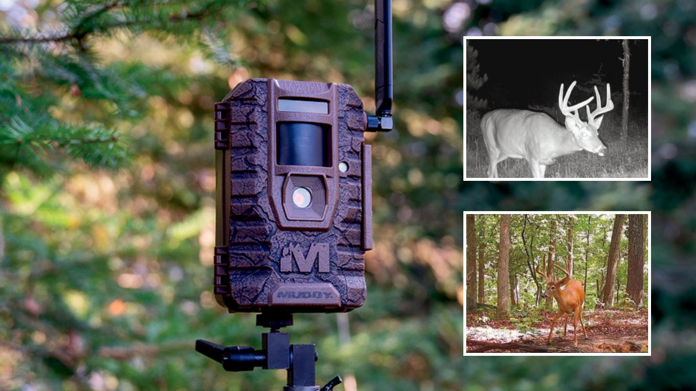 Trail Camera